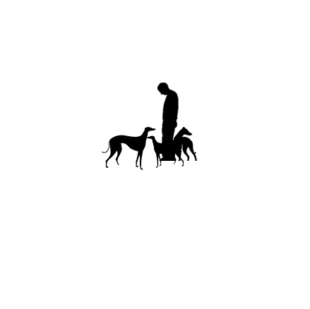 Maine Greyhound Placement Services